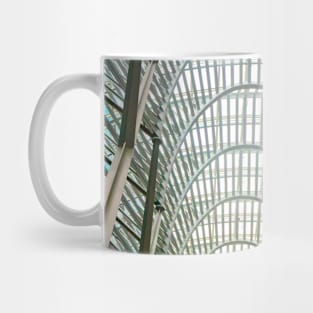 Brookfield Glass and Curves Mug